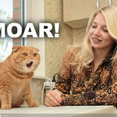 User avatar for Jenny Sorich