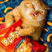 User avatar for Bobbi Brunkalla