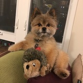 User avatar for Kyle Thayer