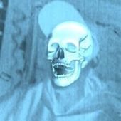 User avatar for Andrew Evey