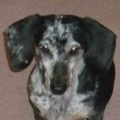 User avatar for John La Liberte