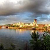 User avatar for Daniella Cardona