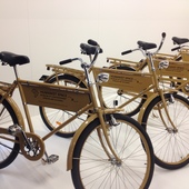 User avatar for Cindy Martin