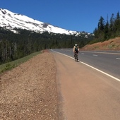 User avatar for Ann Thomas