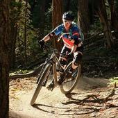 User avatar for Alicia Jones