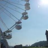 User avatar for Tracey Randall