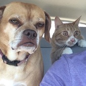 User avatar for Aram Patterson