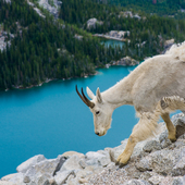 User avatar for Taran Nadler