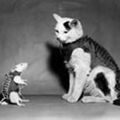 User avatar for Bob Burdalski