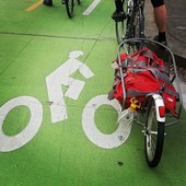 User avatar for Jessica Horning