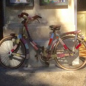 User avatar for Alison Kastner