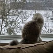 User avatar for Kristen Martin