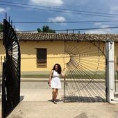 User avatar for Casey Mc Guire