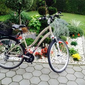 User avatar for Dunja Jonke