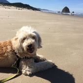 User avatar for Meliah Schultzman