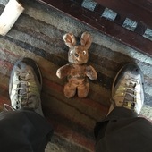 User avatar for Wes Bernegger