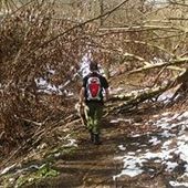 User avatar for Ante Ciglar