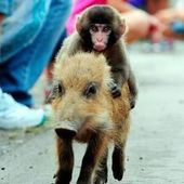 User avatar for Brad Cullimore