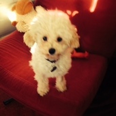 User avatar for Alison Frye