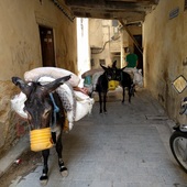 User avatar for Dana Devin Clarke