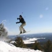 User avatar for Dave Alston