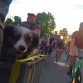 User avatar for Andrew Kreps