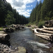 User avatar for Patrick Edenfield