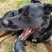 User avatar for Gary Moran