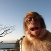 User avatar for Charles Voloshin