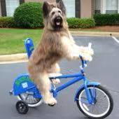 User avatar for Adam Crafts