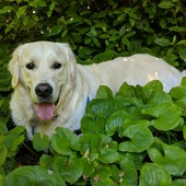 User avatar for Mike Smith