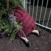 User avatar for Dunja Bebek