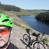 User avatar for Tom Haines