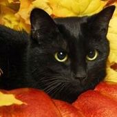 User avatar for Dubravka Mlinar