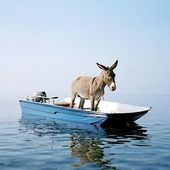 User avatar for Goofus .