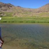 User avatar for Anders Perrone