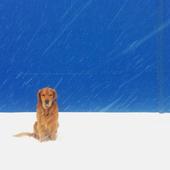 User avatar for Ana Mikulić