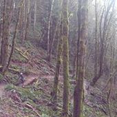 User avatar for Elizabeth Holladay