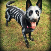 User avatar for Alyssa Reid