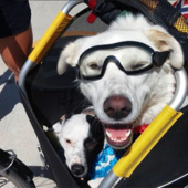 User avatar for Ginger Kretschmer