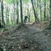 User avatar for Antonia Katić