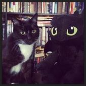 User avatar for Annika Raaen