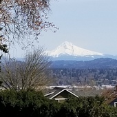 User avatar for Daniel McDermott