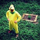 User avatar for Damir Trputec