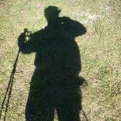 User avatar for Davor Domin