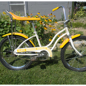 User avatar for Alyson Indrunas