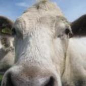 User avatar for Andrew Crossley