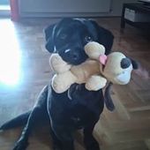 User avatar for Tena Jelena