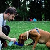 User avatar for Davor Ivanković