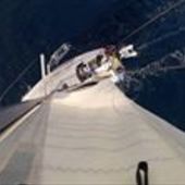 User avatar for Ana Ivanović